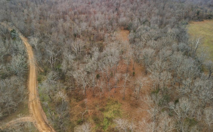 Pictures of Land property located at Tbd County Road 219, Thayer, MO 65791 for sales - image #1