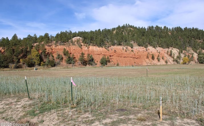 Pictures of Land property located at Red Devil Dr Lot 20, Hulett, WY 82720 for sales - image #1