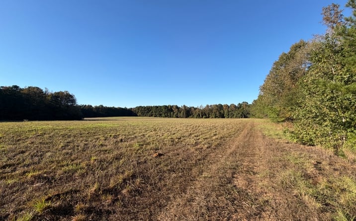 Pictures of Land property located at TBD E Redcut Rd., Fouke, AR 71837 for sales - image #1