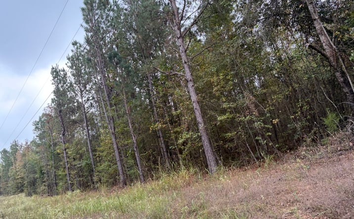 Pictures of Land property located at TBD Miller County 158, Doddridge, AR 71834 for sales - image #1