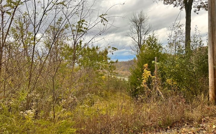 Pictures of Land property located at 00 Schelley Rd, Gainesboro, TN 38562 for sales - image #1