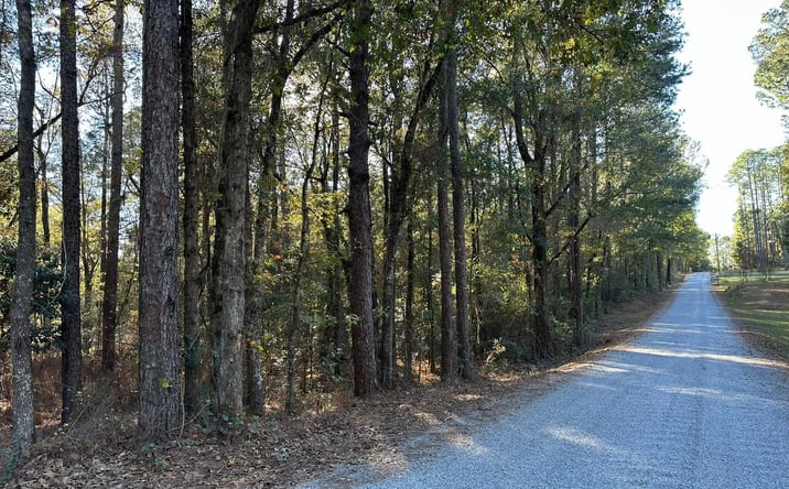 Pictures of Land property located at 0 Lomas Road, Hattiesburg, MS 39401 for sales - image #1