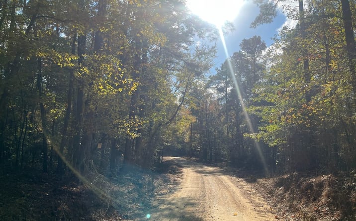 Pictures of Land property located at County Road 56, Carrollton, MS 38917 for sales - image #1
