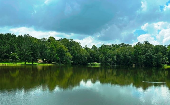 Pictures of Land property located at 215 Grafton Road, Laurel, MS 39443 for sales - image #1