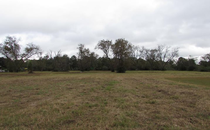Pictures of Land property located at 0000 Chancey Mill Road, Blakely, GA 39823 for sales - image #1