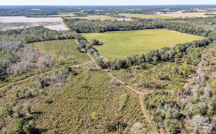 Pictures of Land property located at 1203 Bellview Road, Colquitt, GA 39837 for sales - image #1