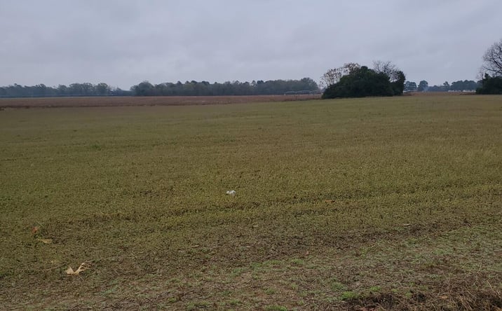 Pictures of Land property located at 5555 Goshen Road, Sumter, SC 29153 for sales - image #1