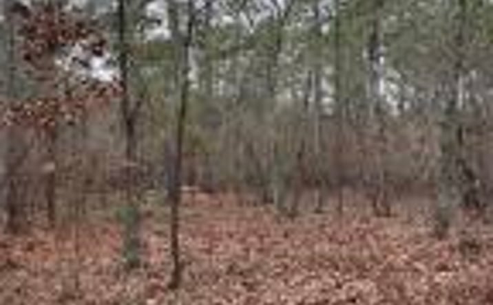 Pictures of Land property located at 000 Old China Springs Road, Aiken, SC 29801 for sales - image #1
