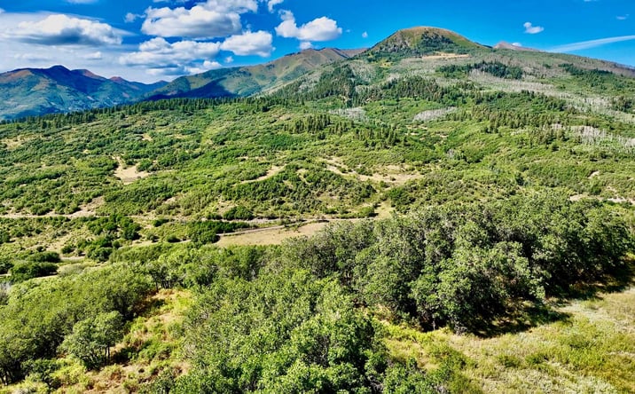 Pictures of Land property located at 1368 Cr 124, Durango, CO 81301 for sales - image #1