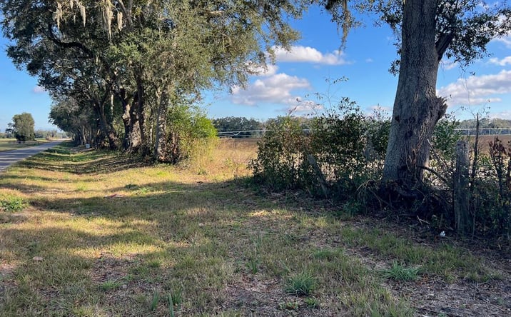 Pictures of Land property located at NE 150th St, Trenton, FL 32693 for sales - image #1