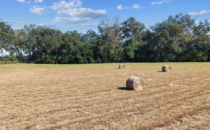 Pictures of Land property located at NE 150th St, Trenton, FL 32693 for sales - image #1