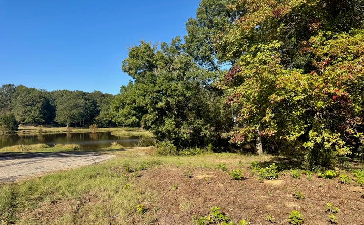 Pictures of Land property located at Lot 18 County Road 1216, Pittsburg, TX 75686 for sales - image #1