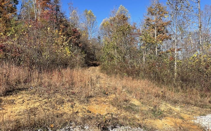 Pictures of Land property located at 240 Malone Ridge Rd, Albany, KY 42602 for sales - image #1