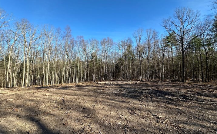 Pictures of Land property located at Lot 1.6 Foster (South) Trail, Tusten, NY 12764 for sales - image #1