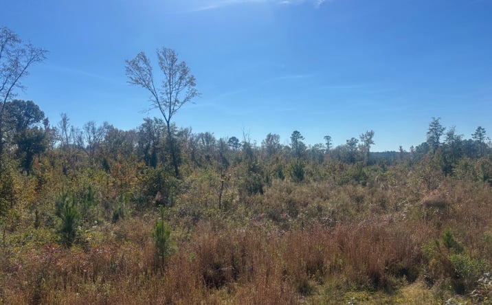 Pictures of Land property located at JD Williams Rd, Cadwell, GA 31009 for sales - image #1
