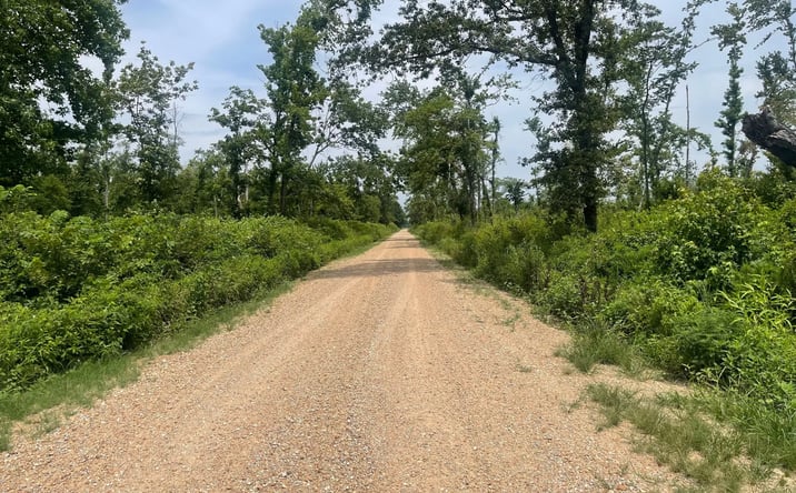 Pictures of Land property located at County Road 315, Poplar Bluff, MO 63901 for sales - image #1