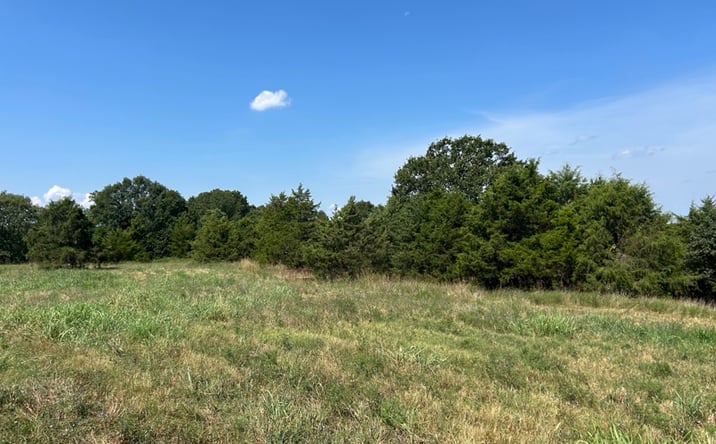 Pictures of Land property located at 1442 State Hwy, Ava, MO 65608 for sales - image #1