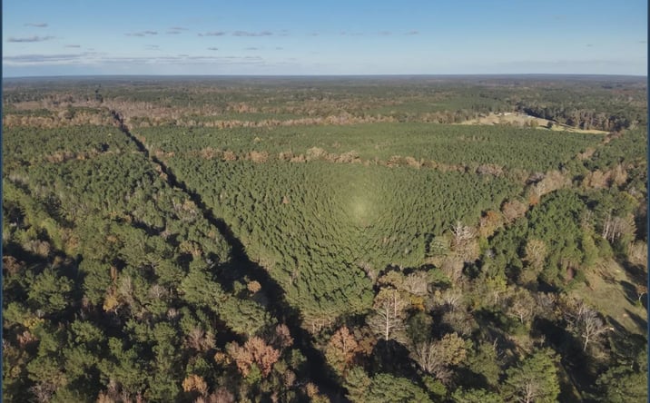 Pictures of Land property located at Whiddon Road, 68956, MS 39046 for sales - image #1