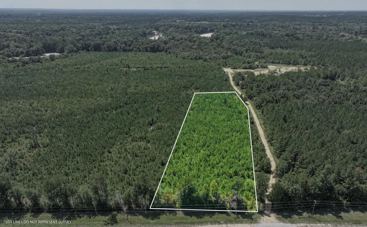 Pictures of Land property located at Highway 11, 70481, MS 39465 for sales - image #1