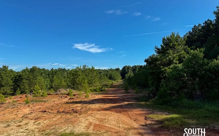 Pictures of Land property located at J. M. Burge Road, 69647, MS 39402 for sales - image #1