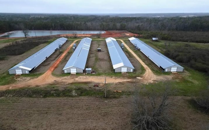 Pictures of Land property located at 365 Mount Olive Road, 70572, MS 39474 for sales - image #1