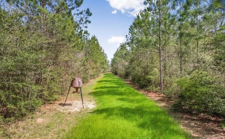 Pictures of Land property located at Atkinson Road, 70964, MS 39666 for sales - image #1