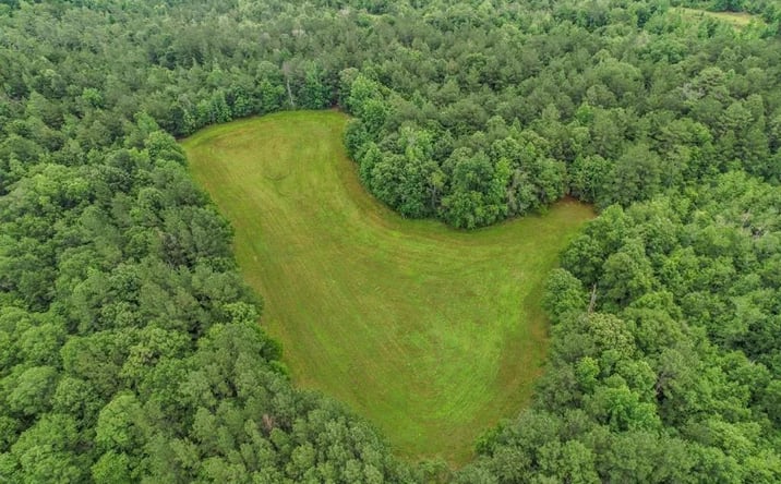 Pictures of Land property located at 115 Wilderness Run, 70592, MS 39401 for sales - image #1