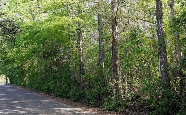 Pictures of Land property located at Evans Loop Road SE, 70738, MS 39662 for sales - image #1