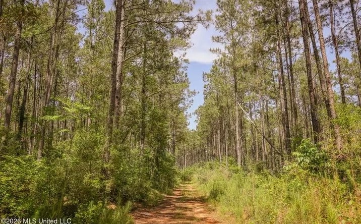 Pictures of Land property located at Graves Road, 69975, MS 39645 for sales - image #1