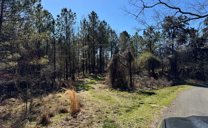 Pictures of Land property located at Hickory Ridge Road, 69673, MS 39086 for sales - image #1