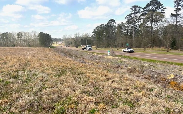 Pictures of Land property located at Presley Boulevard, 70125, MS 39648 for sales - image #1