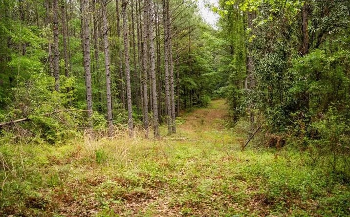 Pictures of Land property located at 2683 Highway 33, 69153, MS 39633 for sales - image #1