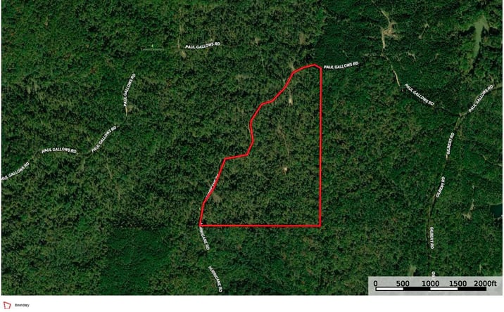 Pictures of Land property located at Paul Gallows Road, 71127, MS 39175 for sales - image #1