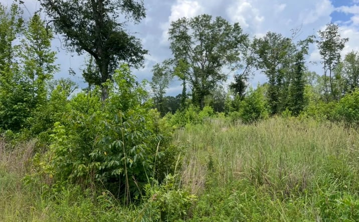 Pictures of Land property located at 000 Mondy Road, 51901, LA 71270 for sales - image #1