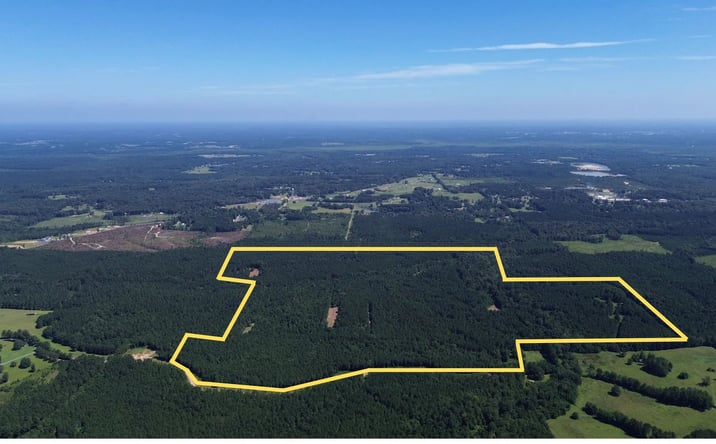 Pictures of Land property located at Ed Rutledge Road, 52469, LA 71292 for sales - image #1