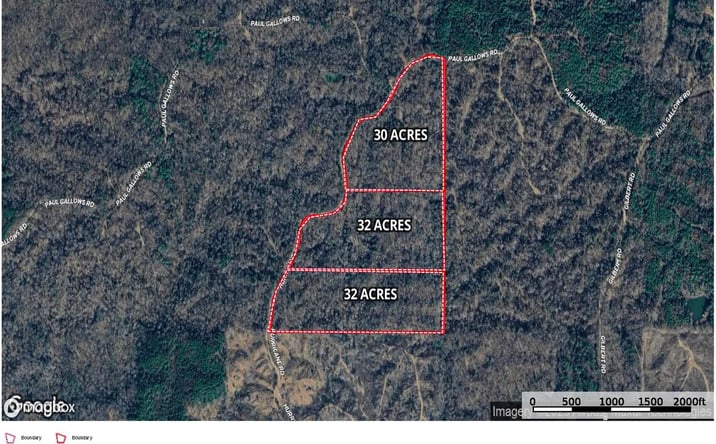Pictures of Land property located at Hurricane Road & Paul Gallows Road, 71127, MS 39175 for sales - image #1