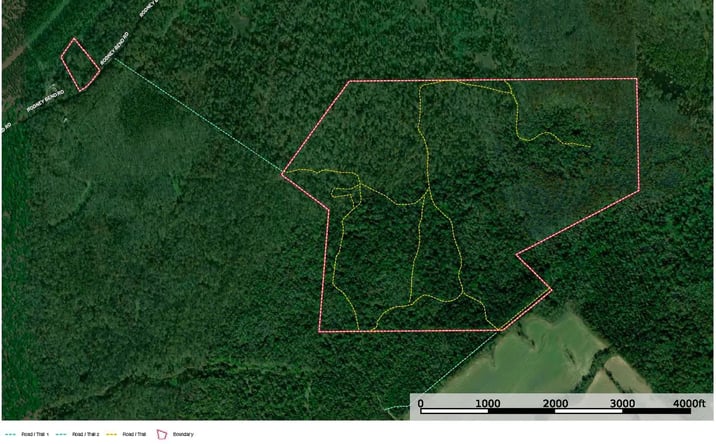 Pictures of Land property located at Rodney Bend Road, 70024, MS 39096 for sales - image #1