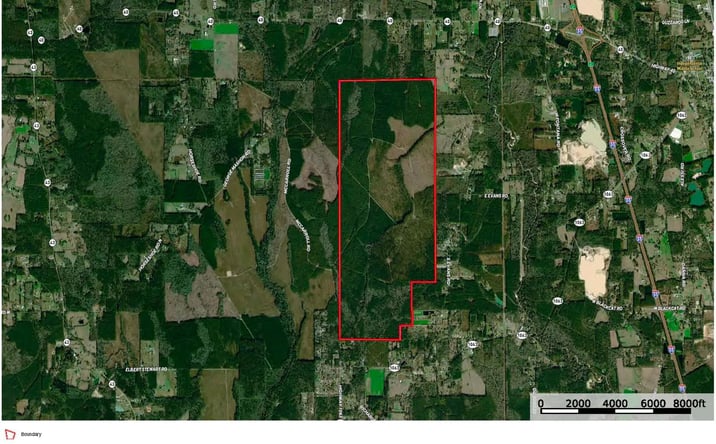 Pictures of Land property located at 38774 McCarrol Road, 50759, LA 70443 for sales - image #1