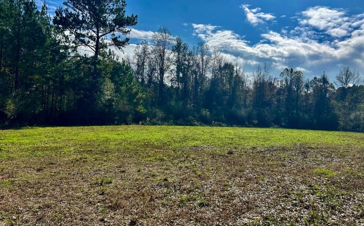 Pictures of Land property located at Watts Lane NW, 68884, MS 39601 for sales - image #1