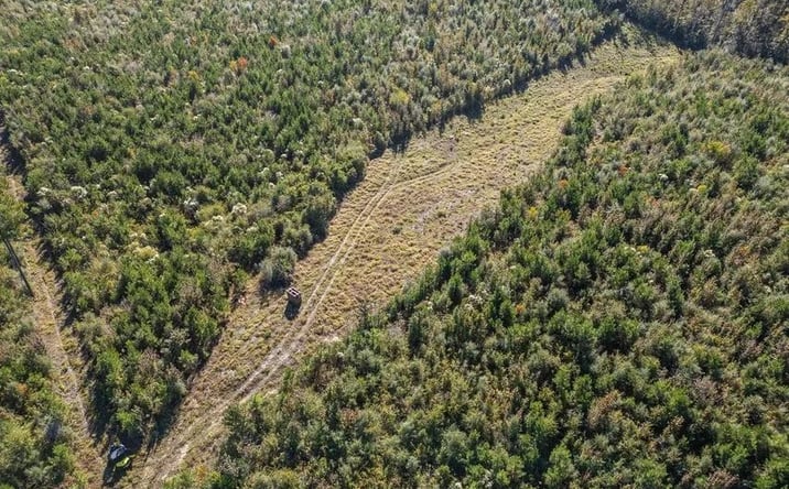 Pictures of Land property located at 4058 McClain Road, 69975, MS 39645 for sales - image #1