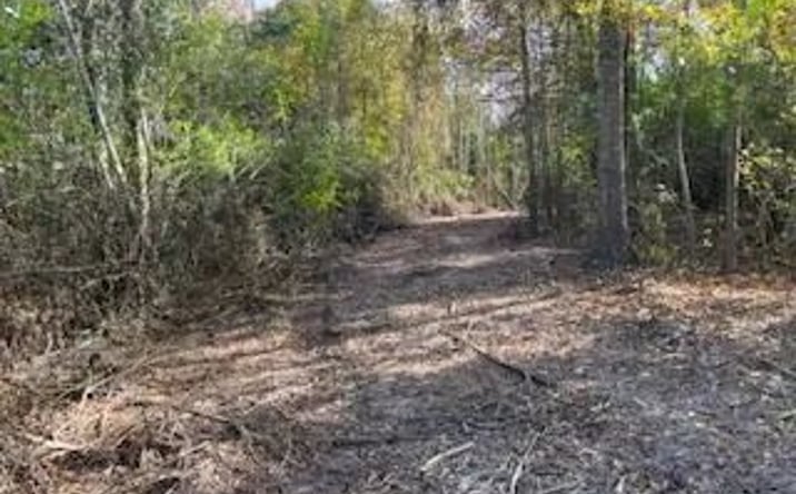 Pictures of Land property located at 1043 Hwy 24 West, 70125, MS 39648 for sales - image #1