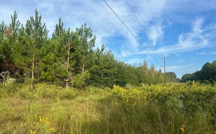 Pictures of Land property located at River Road N, 70964, MS 39648 for sales - image #1