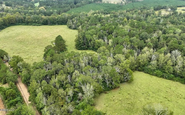 Pictures of Land property located at Airport Road, 70572, MS 39474 for sales - image #1