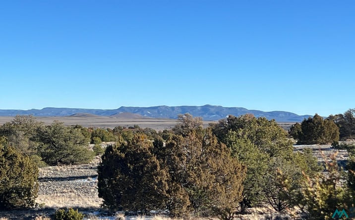 Pictures of Land property located at 49 Sweetwater Dr. Road, Quemado, NM 87829 for sales - image #1
