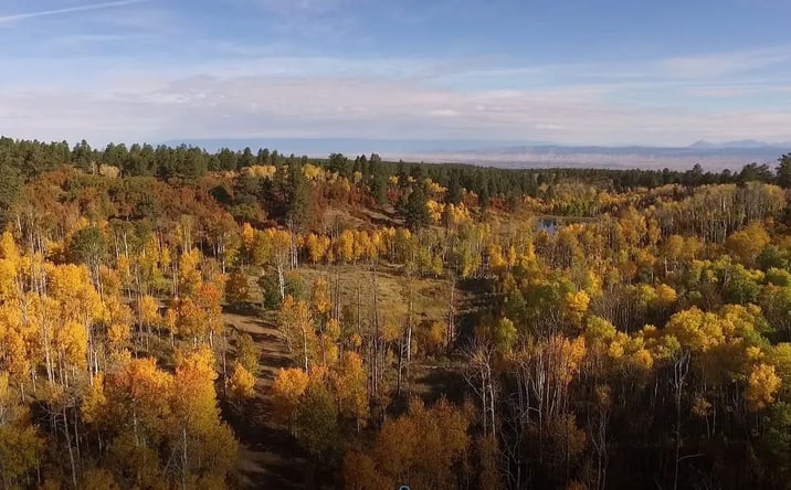 Pictures of Land property located at TBD Elk Meadows Government Springs rd, 16895, CO 81401 for sales - image #1