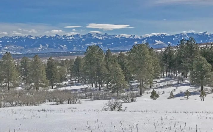 Pictures of Land property located at TBD Aspen L1 Government Springs rd, 16895, CO 81403 for sales - image #1