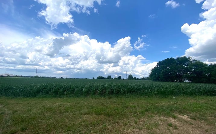 Pictures of Land property located at Highway 51, 74423, MO 63775 for sales - image #1