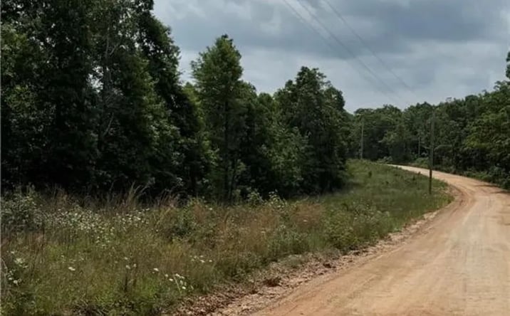 Pictures of Land property located at 00 TBD Plumlee Road, 7805, AR 72624 for sales - image #1