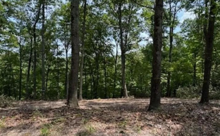 Pictures of Land property located at 00 TBD Bel Lago Drive, 8128, AR 72632 for sales - image #1