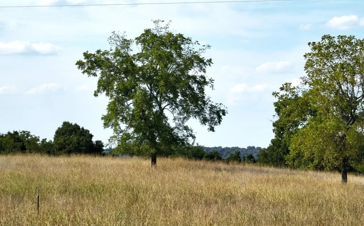 Pictures of Land property located at 1548 Grassy Gap Road, 8451, AR 72601 for sales - image #1